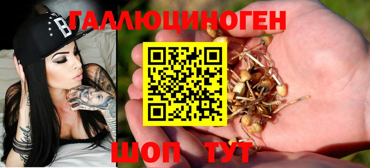 Псилоцибиновые грибы мухоморы  Псилоцибиновые грибы прущие грибы  Холмск  Вход с VPN 